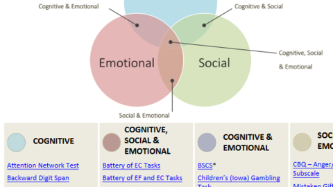 Image from compendium